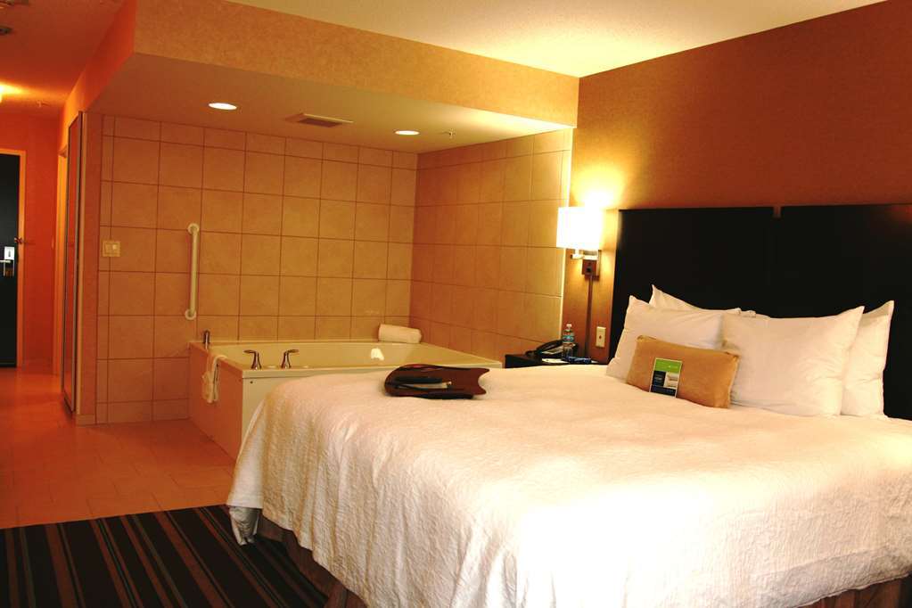 Hampton Inn And Suites Flint/Grand Blanc Pokoj fotografie